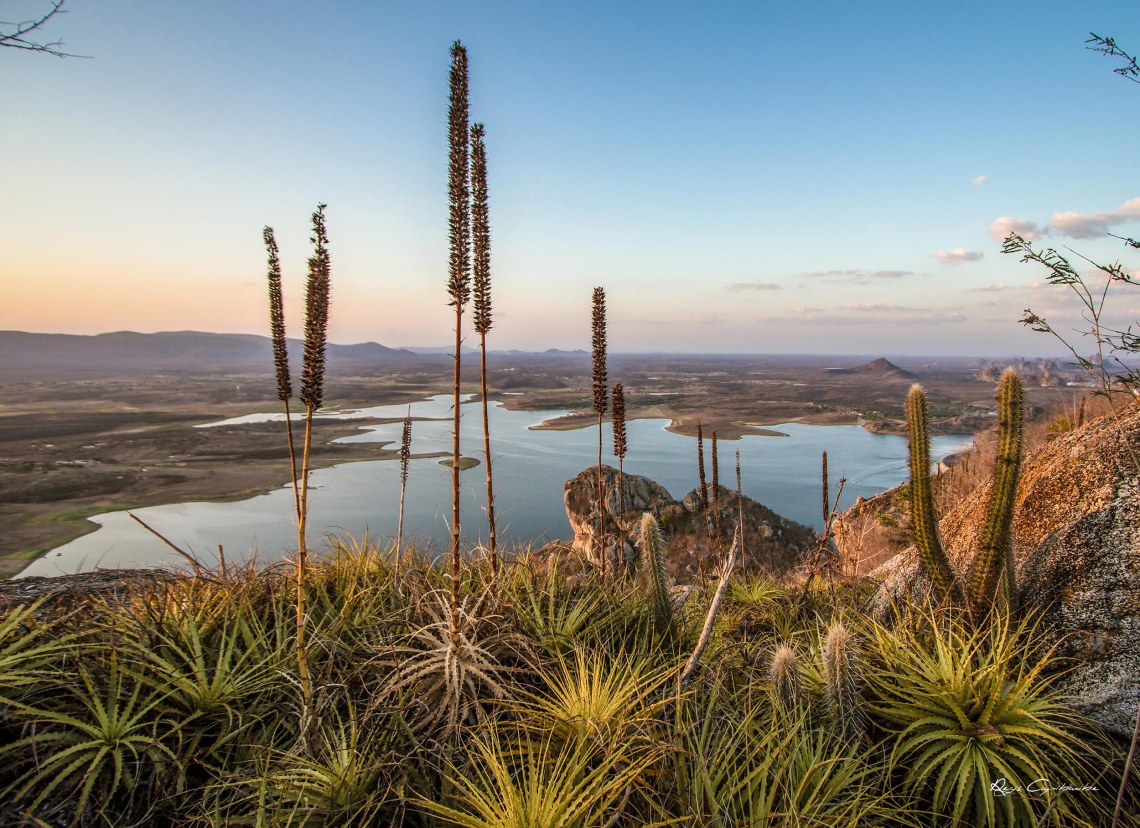 Régis - Sertão_004 - 77x58cm - Lona Fosca
