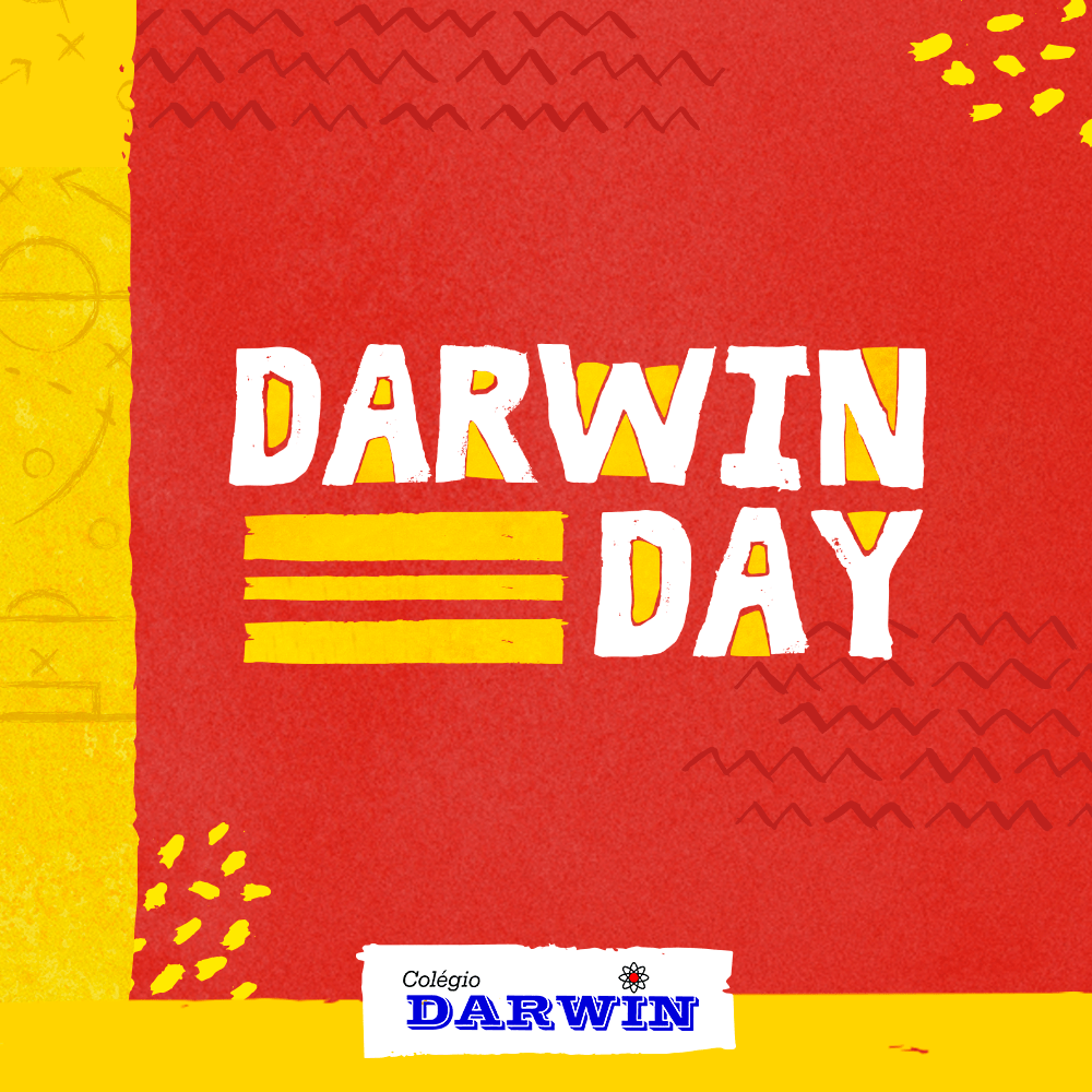 Imagem de divulgação