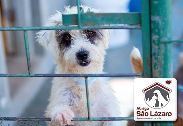abrigo-sao-lazaro